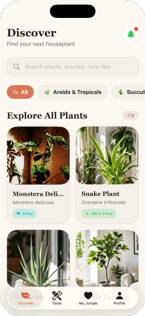 Houseplants discover screen